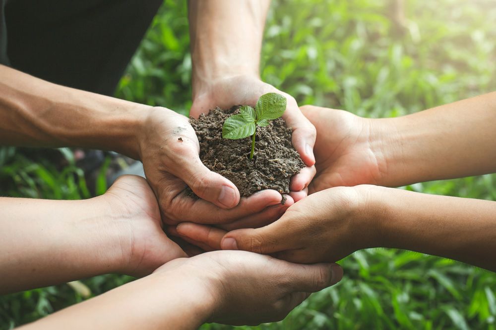 Kommunen haben sich ambitionierte Klimaschutzziele gesteckt